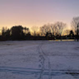 Meet your Posher, Ellie